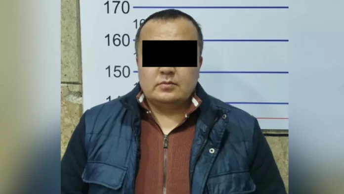 416713_w_h500_1766542245_r