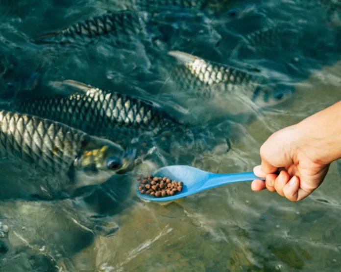 a6fa6668a2b80afc24e222b3c091111f