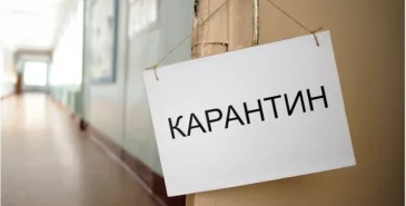 Вводить массовый карантин в школах и детсадах Бишкека из-за роста случаев гриппа и ОРВИ не планируется, сообщили в мэрии Главная