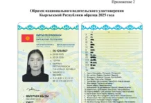 Вот так будут выглядеть водительские права образца 2025 года