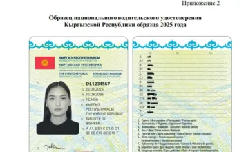 Вот так будут выглядеть водительские права образца 2025 года
