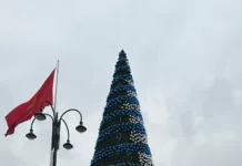 Новогоднюю ёлку на центральной площади Бишкека зажгут 15 декабря