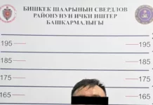 Бишкекчанку застрелили в день ее рождения, задержан бывший муж — экс-сотрудник милиции, сообщили источники в правоохранительных органах