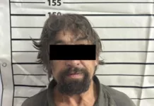 Чүйдө аялын өлтүрүүгө шектүү кармалды