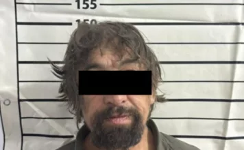 Чүйдө аялын өлтүрүүгө шектүү кармалды