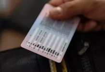 Сколько надо учится для получения прав, рассказали в управделами президента КР