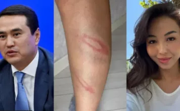 Депутата Жогорку Кенеша обвинили в домашнем насилии. Комментарий ГУВД Бишкека