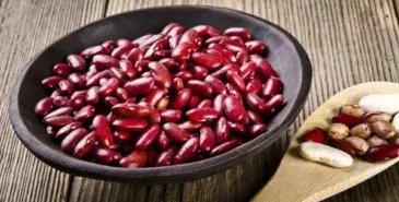 В Таласской области построят завод по переработке фасоли на 1 миллиард сомов Главная