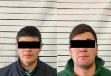 В Чуйской области задержаны подозреваемые в краже невесты