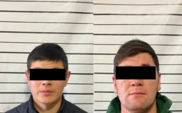 Чүйдө кыз ала качууга шектелип эки адам кармалды