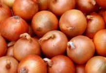 Около 27 тонн лука из Узбекистана не пропустили в Кыргызстан