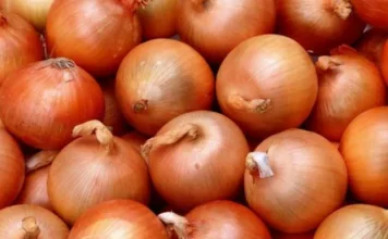 Около 27 тонн лука из Узбекистана не пропустили в Кыргызстан