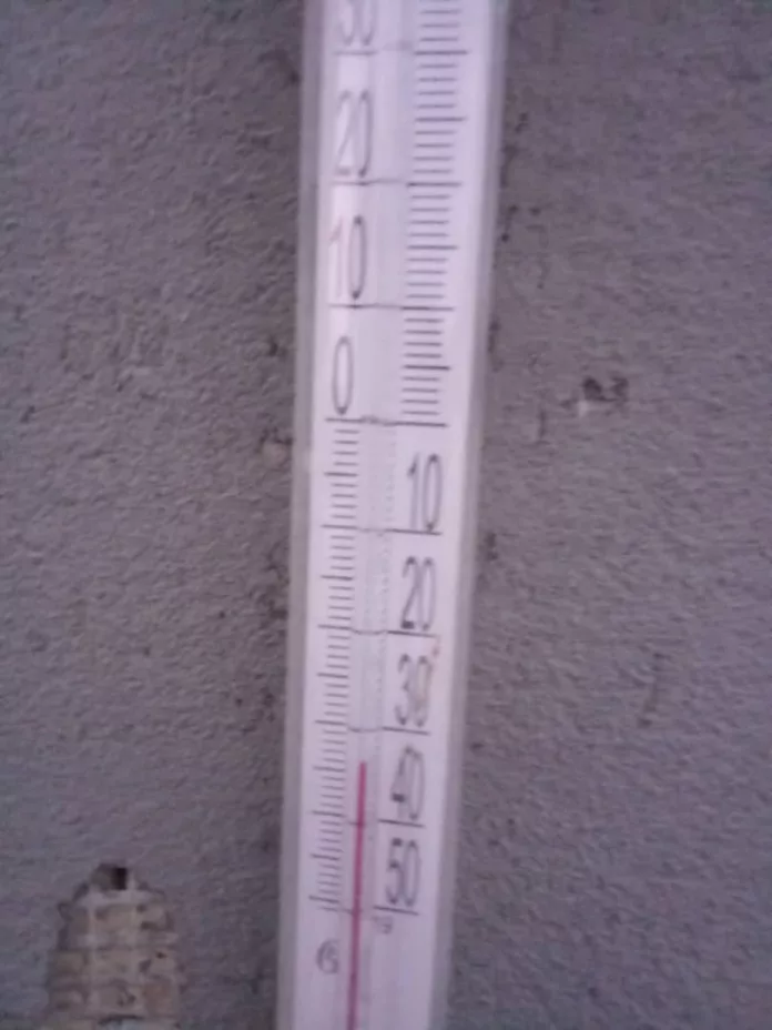 photo_2026-01-12_10-45-08