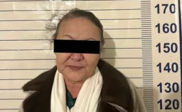 В Чуйской области задержана подозреваемая в самовольном захвате чужого участка