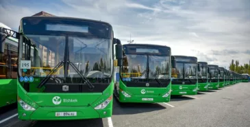 В Бишкеке летом оптимизируют маршруты общественного транспорта — подробности Главная