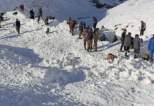 Спасатели нашли тело 37-летнего мужчины, попавшего под лавину