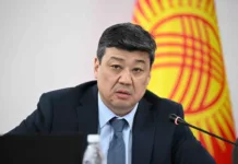 Бакыт Торобаев освобожден от должности зампреда кабмина и главы Минсельхоза