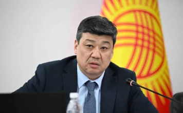 Министрлер кабинетинин төрагасынын орун басары Төрөбаев кызматтан кетти