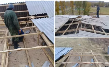 Чүйдө жана Бишкекте катуу шамалдан бак кулап, үйлөрдүн чатыры учту