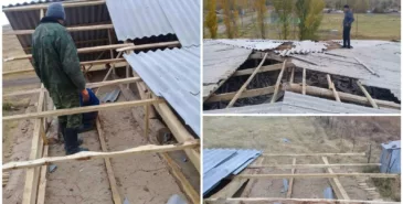 Чүйдө жана Бишкекте катуу шамалдан бак кулап, үйлөрдүн чатыры учту Главная