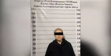 «Черный ломбард» на дому. В Манасе женщина выдавала займы под 150% годовых Главная