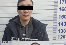 В Чуйской области задержаны двое браконьеров с незаконным оружием