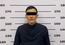 В Бишкеке задержан налоговик за выдачу поддельных патентов