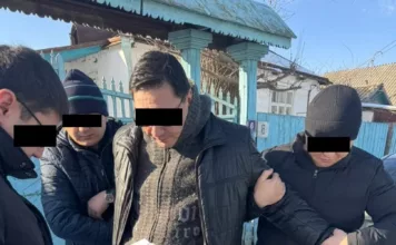 Абак менен коркутуп, доллар талап кылган: Таласта прокурордун орун басары кармалды