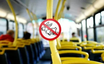 В мэрии рассказали, сколько заработали на «зайцах»