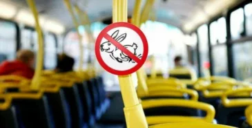 В мэрии рассказали, сколько заработали на «зайцах» Главная