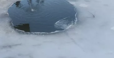 В Сокулукском районе утонули трое четырехлетних детей Главная