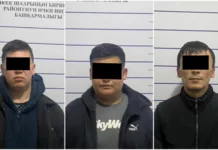 Бишкекчанка продала квартиру и перевела мошенникам 10,6 млн сомов