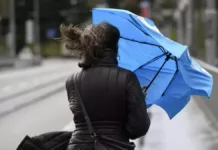 Штормовое предупреждение: в Бишкеке и Чуйской долине ожидается сильный ветер