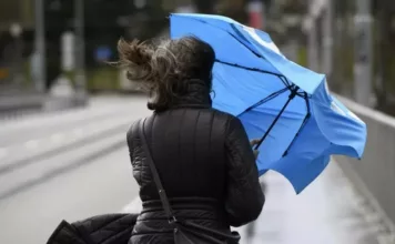 Штормовое предупреждение: в Бишкеке и Чуйской долине ожидается сильный ветер