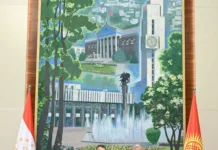 Товарооборот Кыргызстана и Таджикистана в прошлом году вырос в 24 раза, об этом стало известно на встрече глав кабминов стран