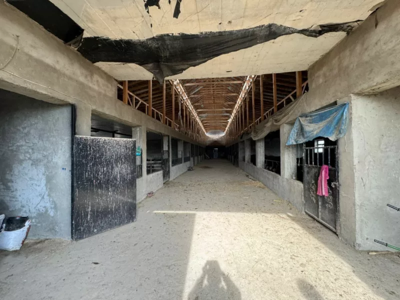 Photo 2026 02 17 21 31 39 государству безвозмездно вернули 4 гектара земли, которая принадлежала активному члену опг к. Досонова