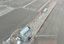 Государству безвозмездно вернули 4 гектара земли, которая принадлежала активному члену ОПГ К.Досонова