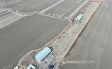 Государству безвозмездно вернули 4 гектара земли, которая принадлежала активному члену ОПГ К.Досонова