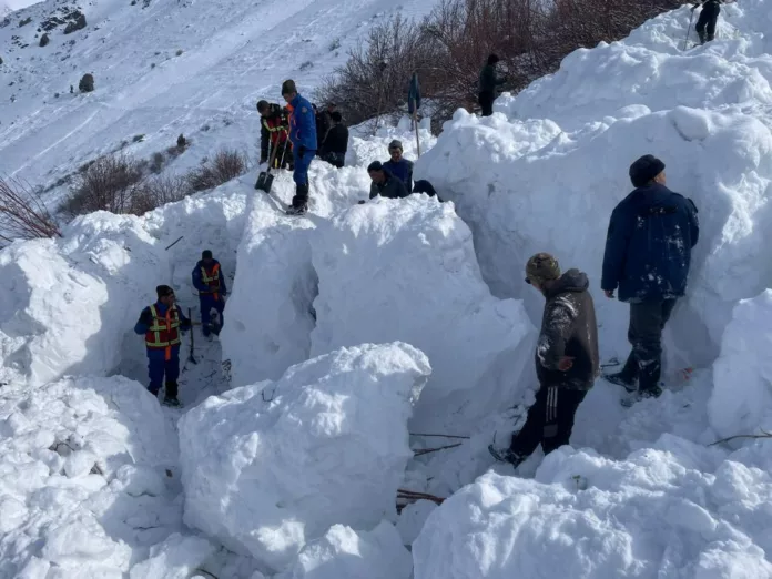 photo_2026-02-18_13-48-54