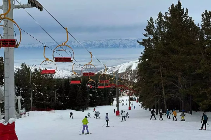 photo_2026-02-25_13-43-48