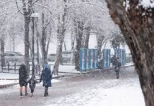 В Кыргызстане ожидаются снегопады и резкое понижение температуры