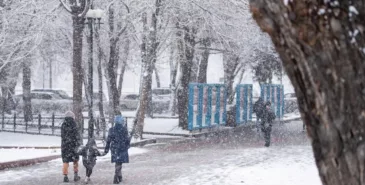 В Кыргызстане ожидаются снегопады и резкое понижение температуры Главная