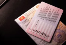 Водительские права в Кыргызстане можно будет получить за три часа