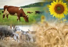 В Кыргызстане сегодня стартовала сельскохозяйственная перепись