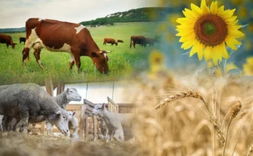 В Кыргызстане сегодня стартовала сельскохозяйственная перепись