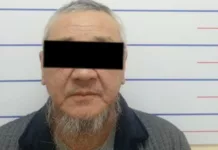 Мужчина, припарковавший машину в зеленой зоне, протащил на капоте машины сотрудника Муниципальной инспекции