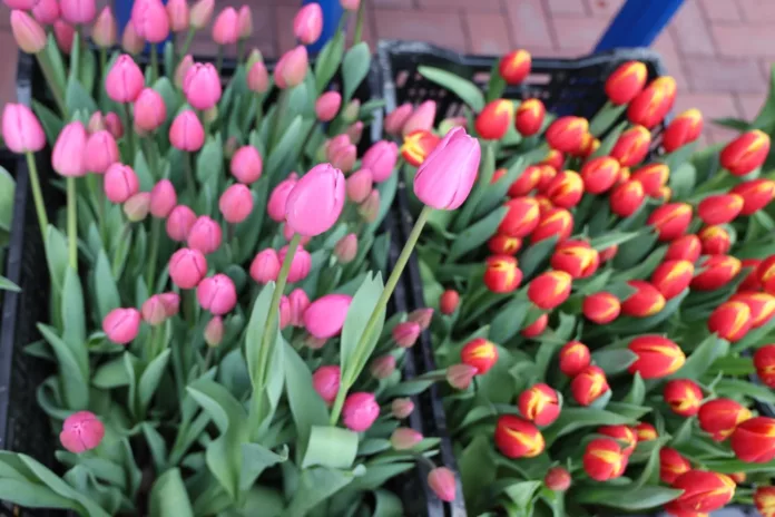 WhatsApp_Image_2026-03-02_at__dnpi0mD.max-1920x1080.format-webp