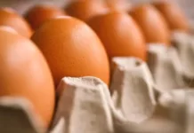 В Кыргызстане подорожали яйца. В Минводсельпроме назвали причины
