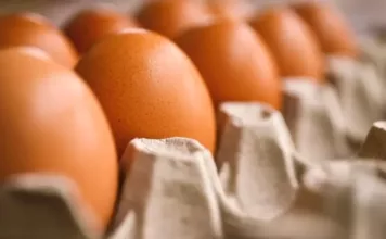 В Кыргызстане подорожали яйца. В Минводсельпроме назвали причины