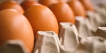 В Кыргызстане подорожали яйца. В Минводсельпроме назвали причины Главная